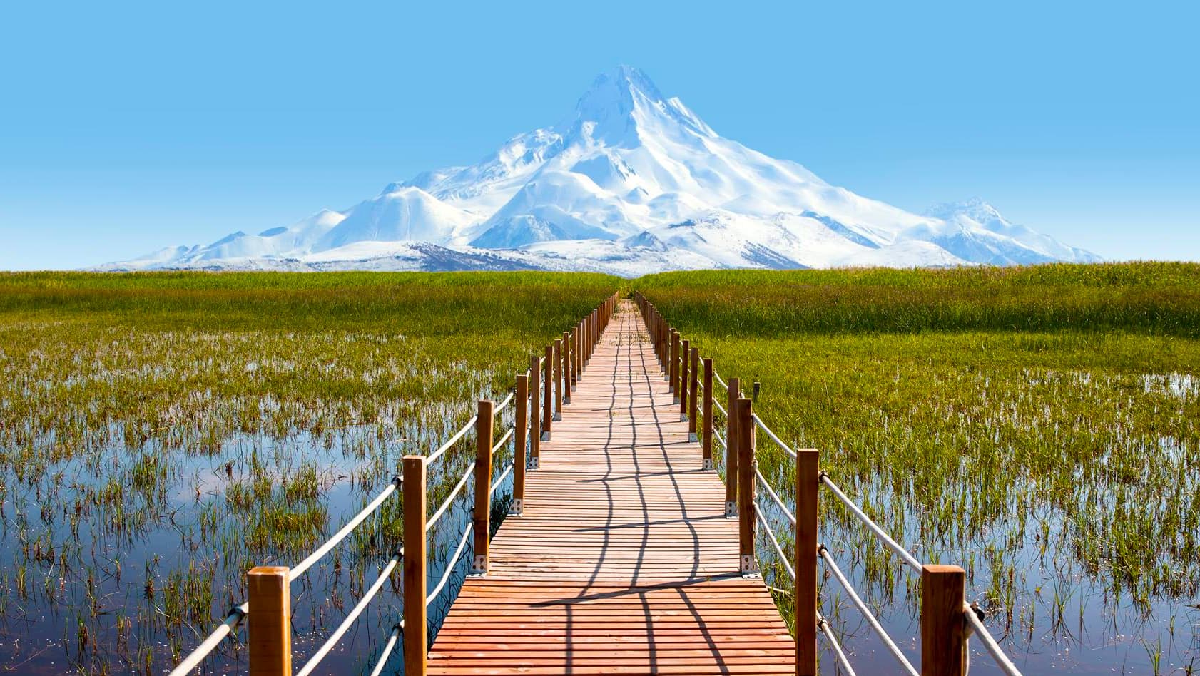 Sultan Marshes National Park bird watching sanctuary